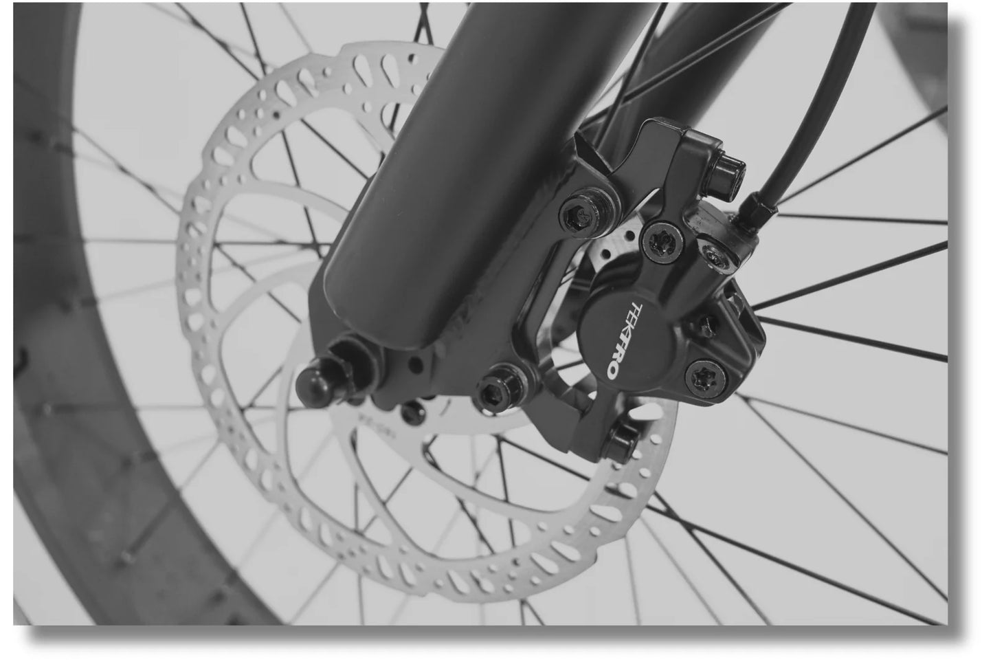 Blitzin Bikes Raven 1000