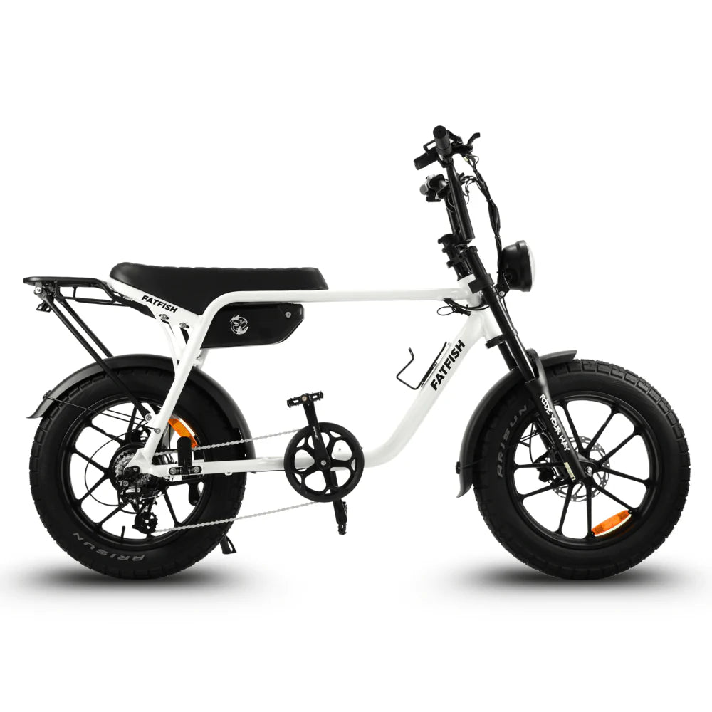 FATFISH OG 2.0 FAT TYRE EBIKE