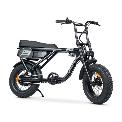 ACE-X Mini S5 Electric Bike