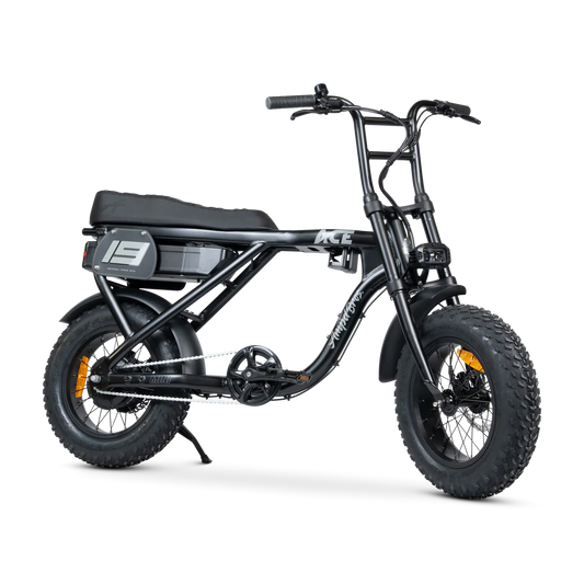 ACE-X Mini S5 Electric Bike