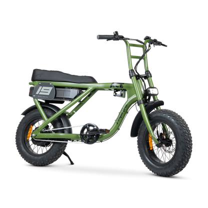 ACE-X Mini S5 Electric Bike