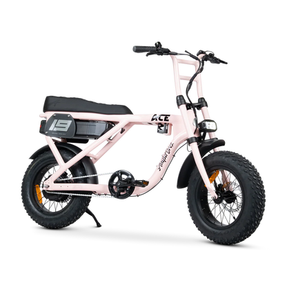 ACE-X Mini S5 Electric Bike