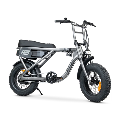 ACE-X Mini S5 Electric Bike