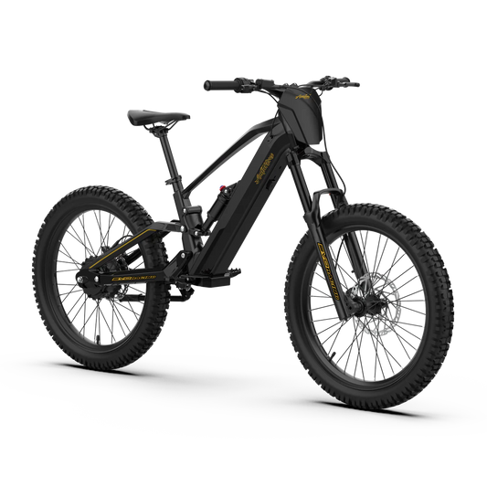 AMPD BROS EVO Racing 24" PRO Electric Bike