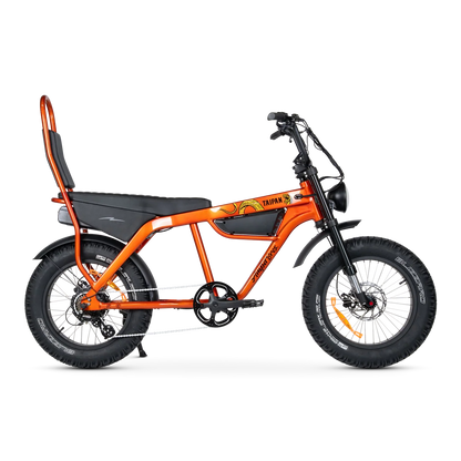 Ampd Bros Taipan Electric Bike