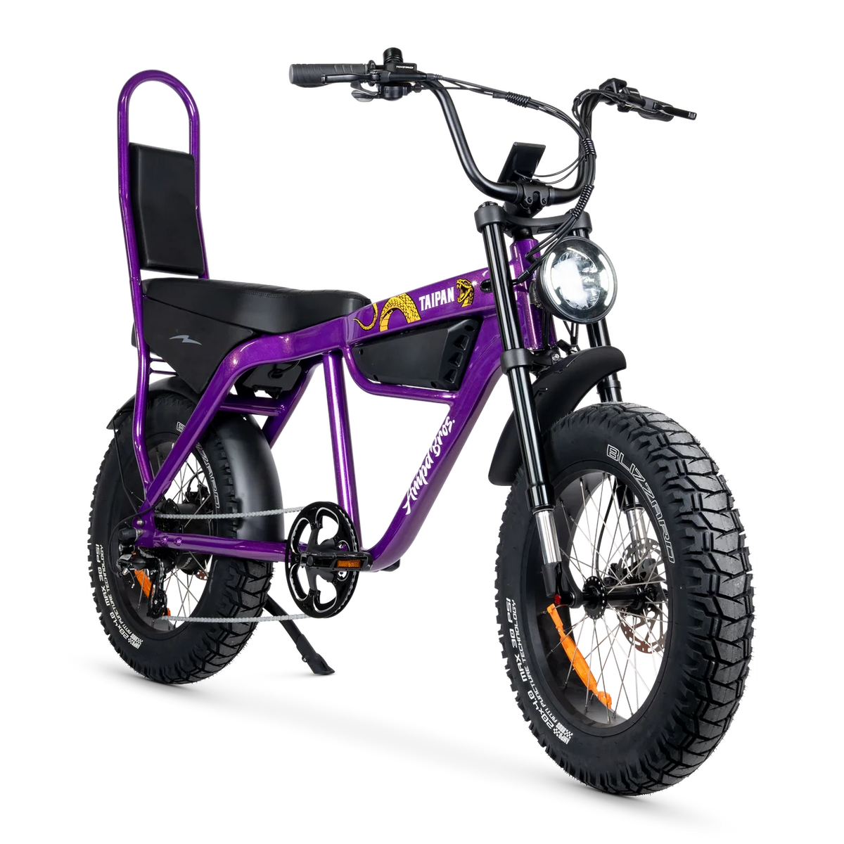 Ampd Bros Taipan Electric Bike