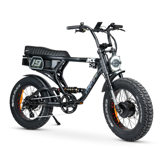 ACE-X Demon Series 5 AWD Dual Electric Bike