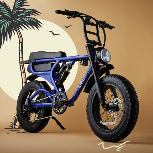 CRUZR STOKE ELECTRIC BIKE