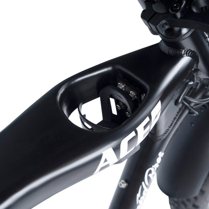 AMPD BROS ACE-X PLUS+ ELECTRIC BIKE