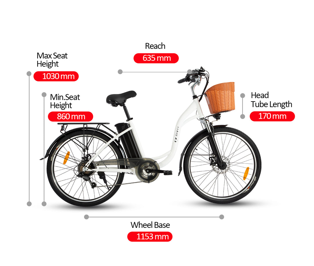 DYU C6 ELECTRIC BIKE