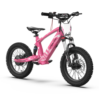 AMPD BROS EVO RACING 16" ELECTRIC BIKE