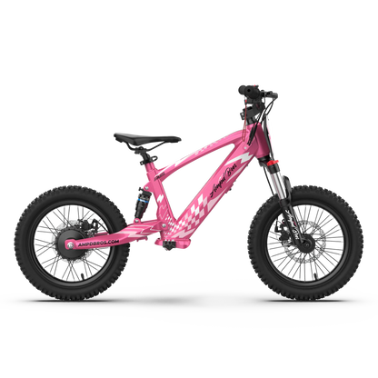 AMPD BROS EVO RACING 16" ELECTRIC BIKE