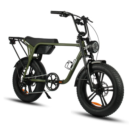 FATFISH BIGGIE FAT TYRE EBIKE