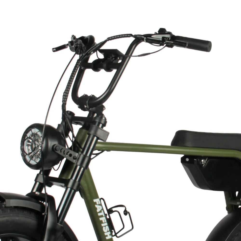 FATFISH BIGGIE FAT TYRE EBIKE