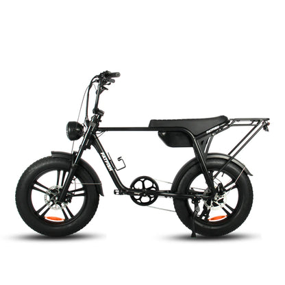 FATFISH BIGGIE FAT TYRE EBIKE