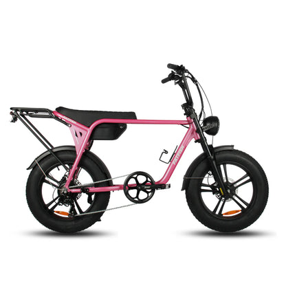 FATFISH BIGGIE FAT TYRE EBIKE