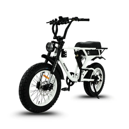 FATFISH DS DUAL SUSPENSION FATBIKE