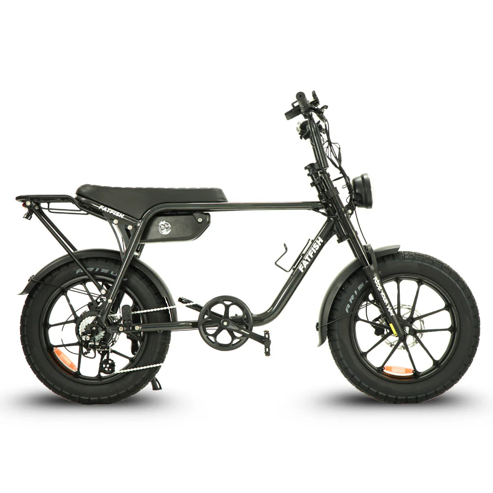 FATFISH FAT TYRE EBIKE