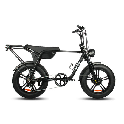 Fatfish Biggie EN15194 Certified Fat Tyre E-Bike