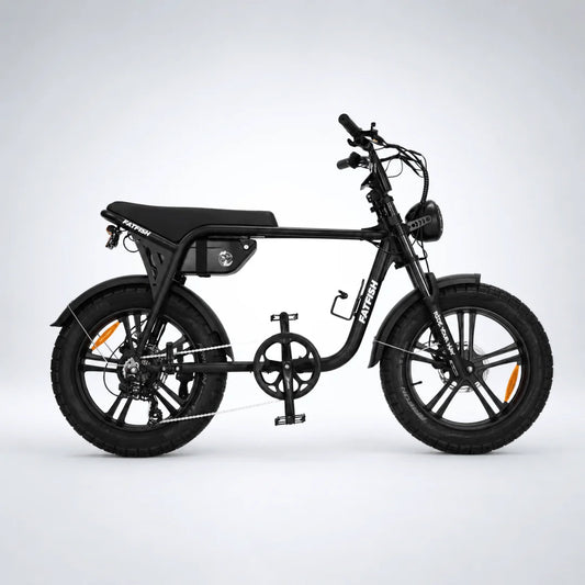 Fatfish OG 2.0 EN15194 Certified Fat Tyre E-Bike