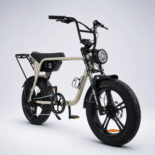 FATFISH BIGGIE FAT TYRE EBIKE