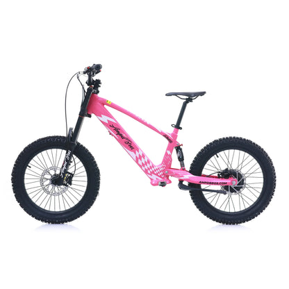 AMPD BROS EVO RACING 20" ELECTRIC BIKE