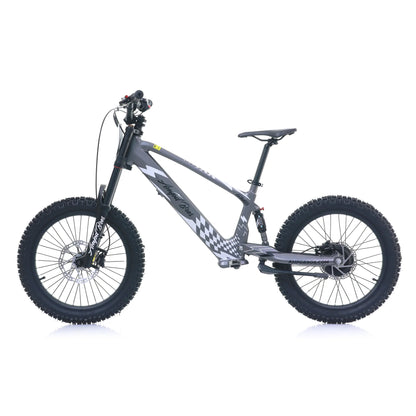 AMPD BROS EVO RACING 20" ELECTRIC BIKE