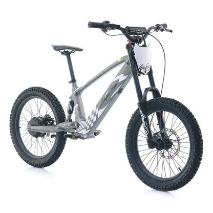 AMPD BROS EVO RACING 20" ELECTRIC BIKE