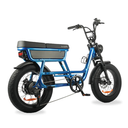SMARTMOTION RENEGADE