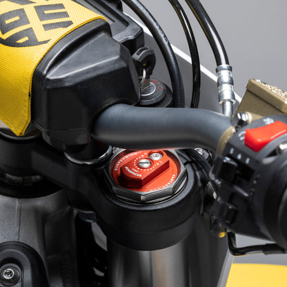 SURRON STORM BEE MX ELECTRIC DIRT BIKE