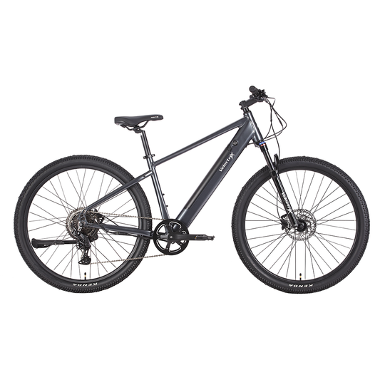 Velectrix Ascent 29 Adventure Electric Bike