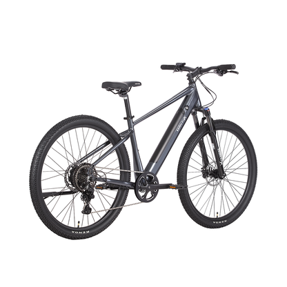 Velectrix Ascent 29 Adventure Electric Bike
