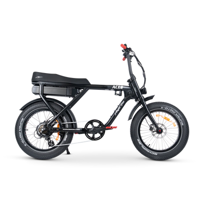 ACE-X STREET ELECTRIC BIKE