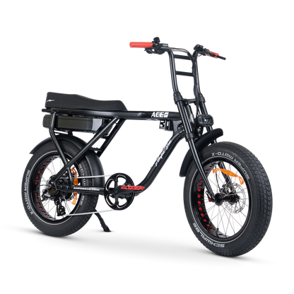 ACE-X STREET ELECTRIC BIKE
