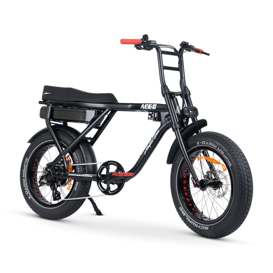 ACE-X STREET ELECTRIC BIKE