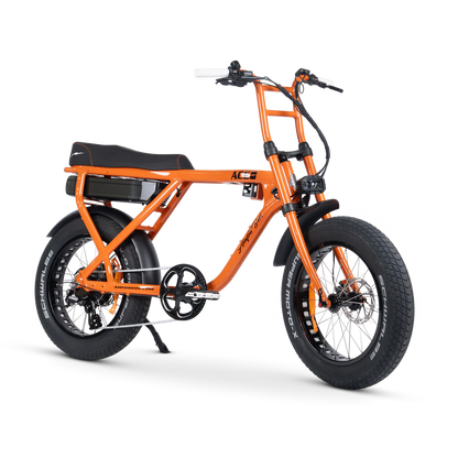 ACE-X STREET ELECTRIC BIKE